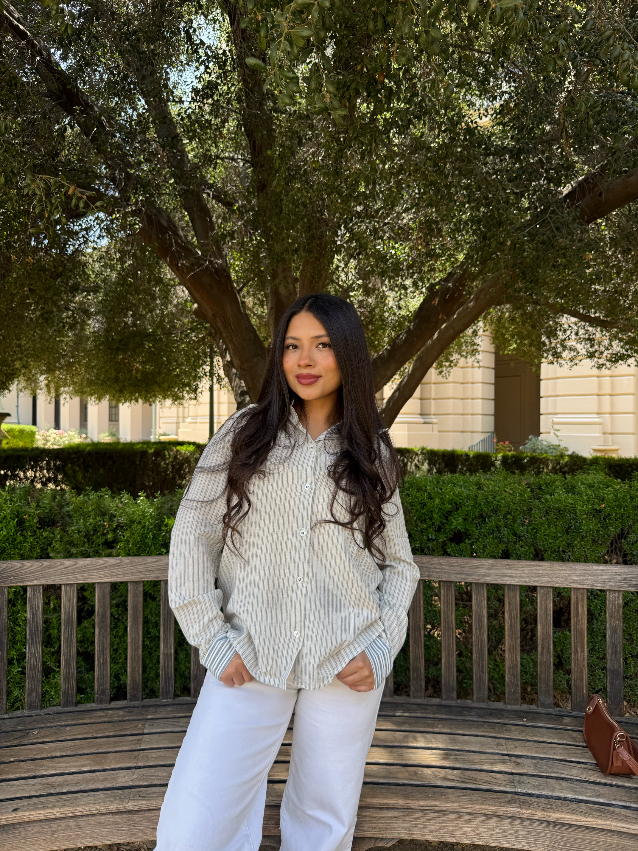 Linen Long Sleeve ( Blue & White)