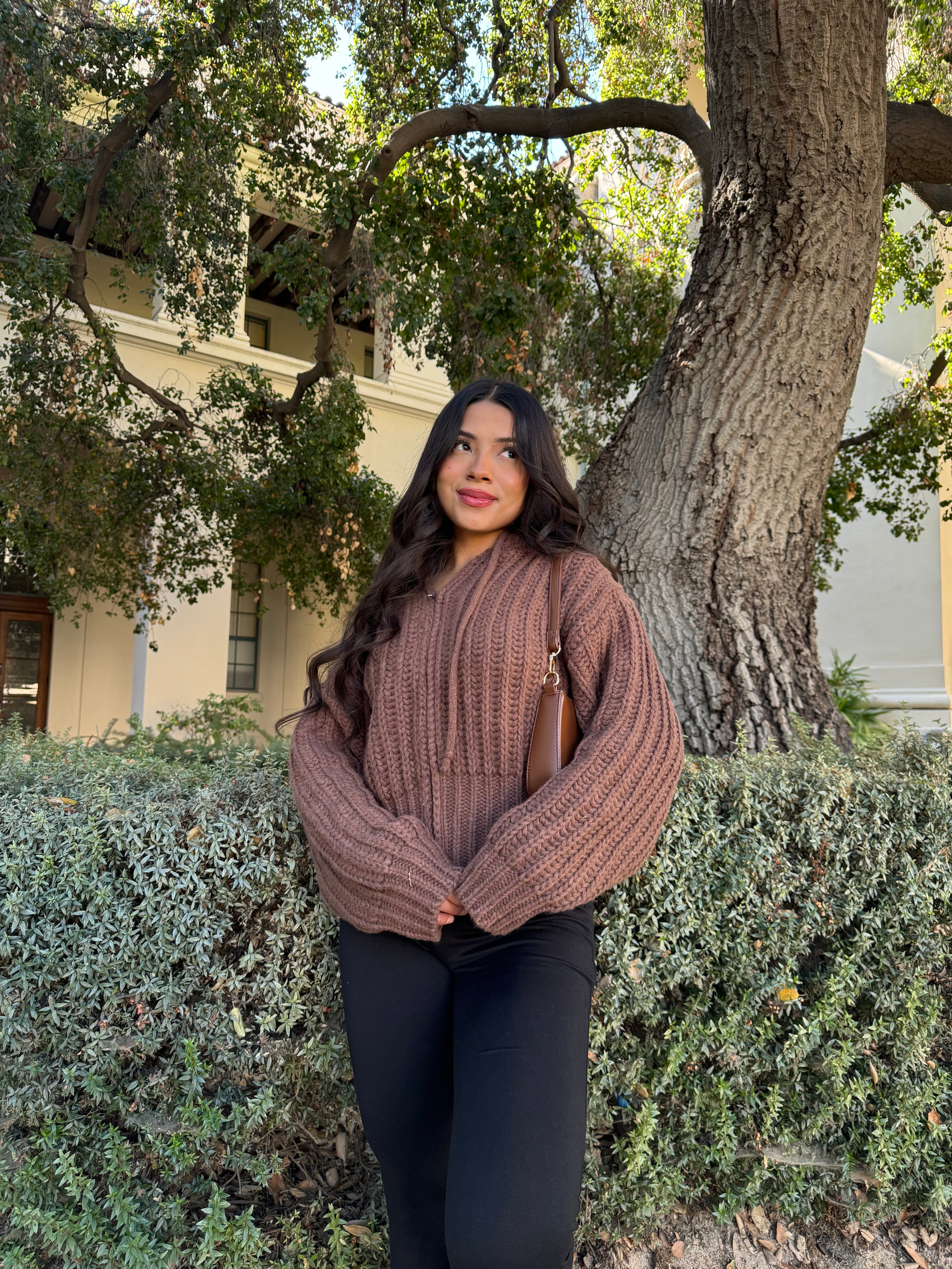 Sugar Cookie Chunky Knit Sweater