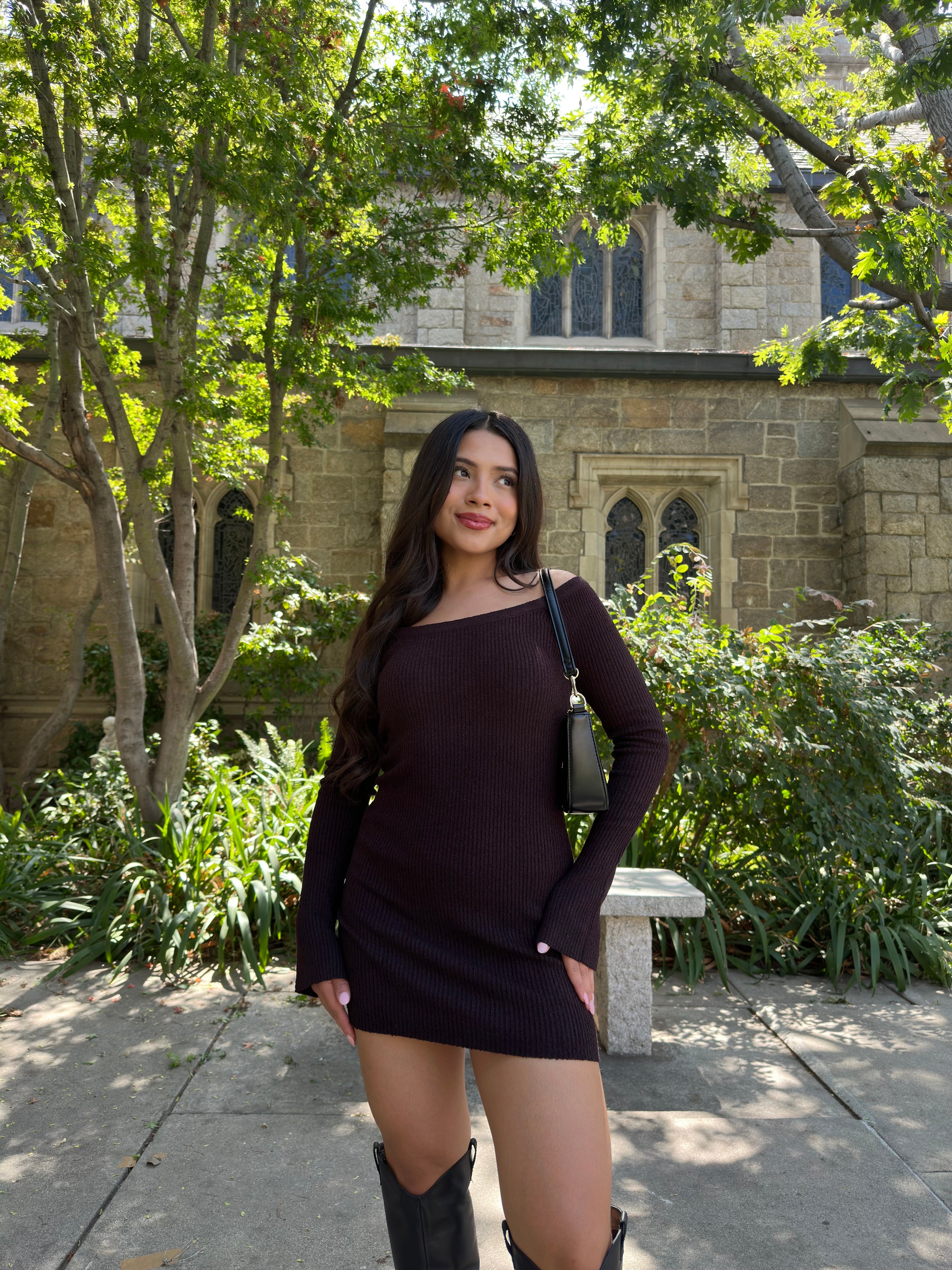 Bejeweled Knit Dress(Espresso)
