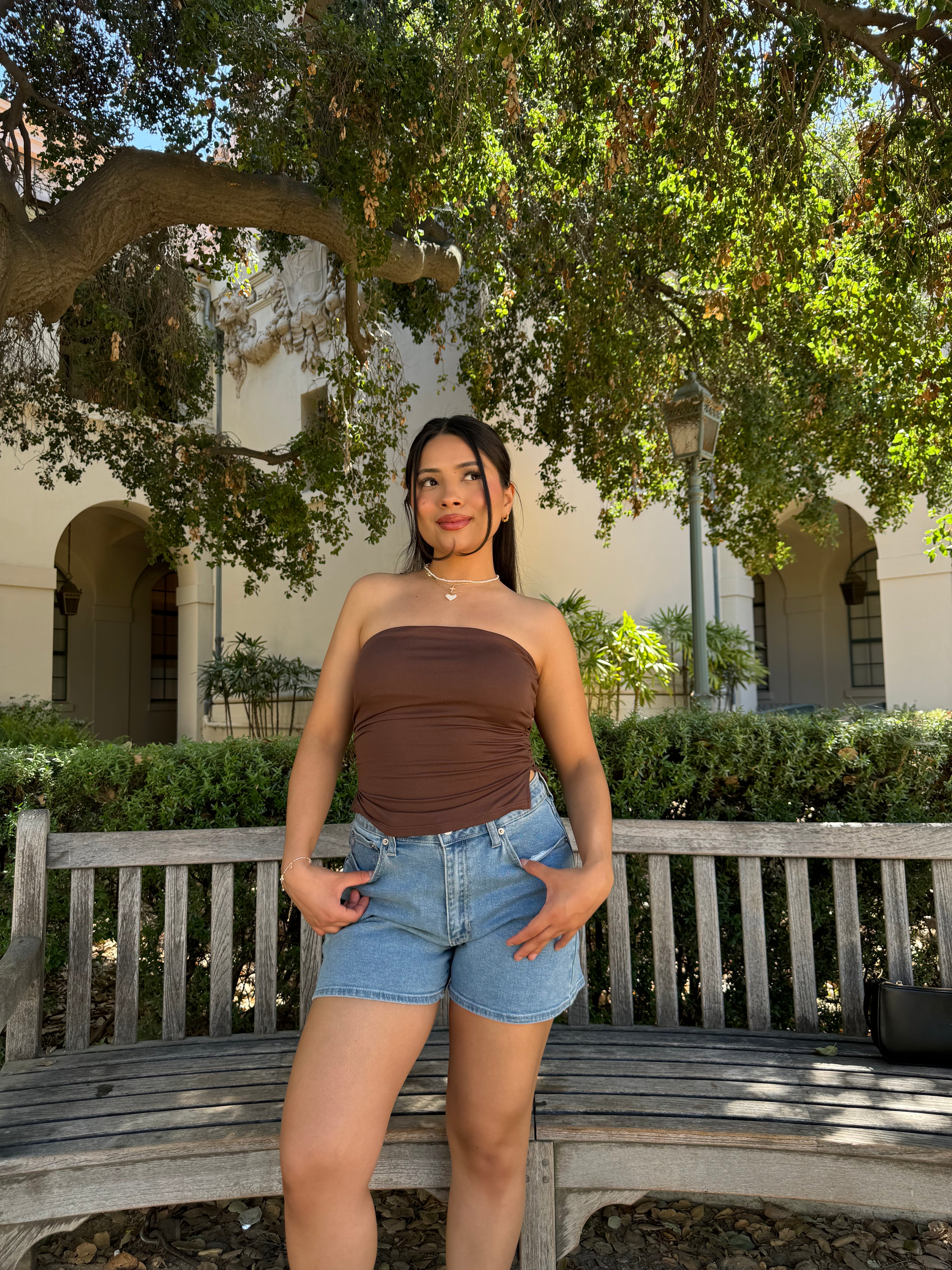 Dawn Tube Top (Cocoa)