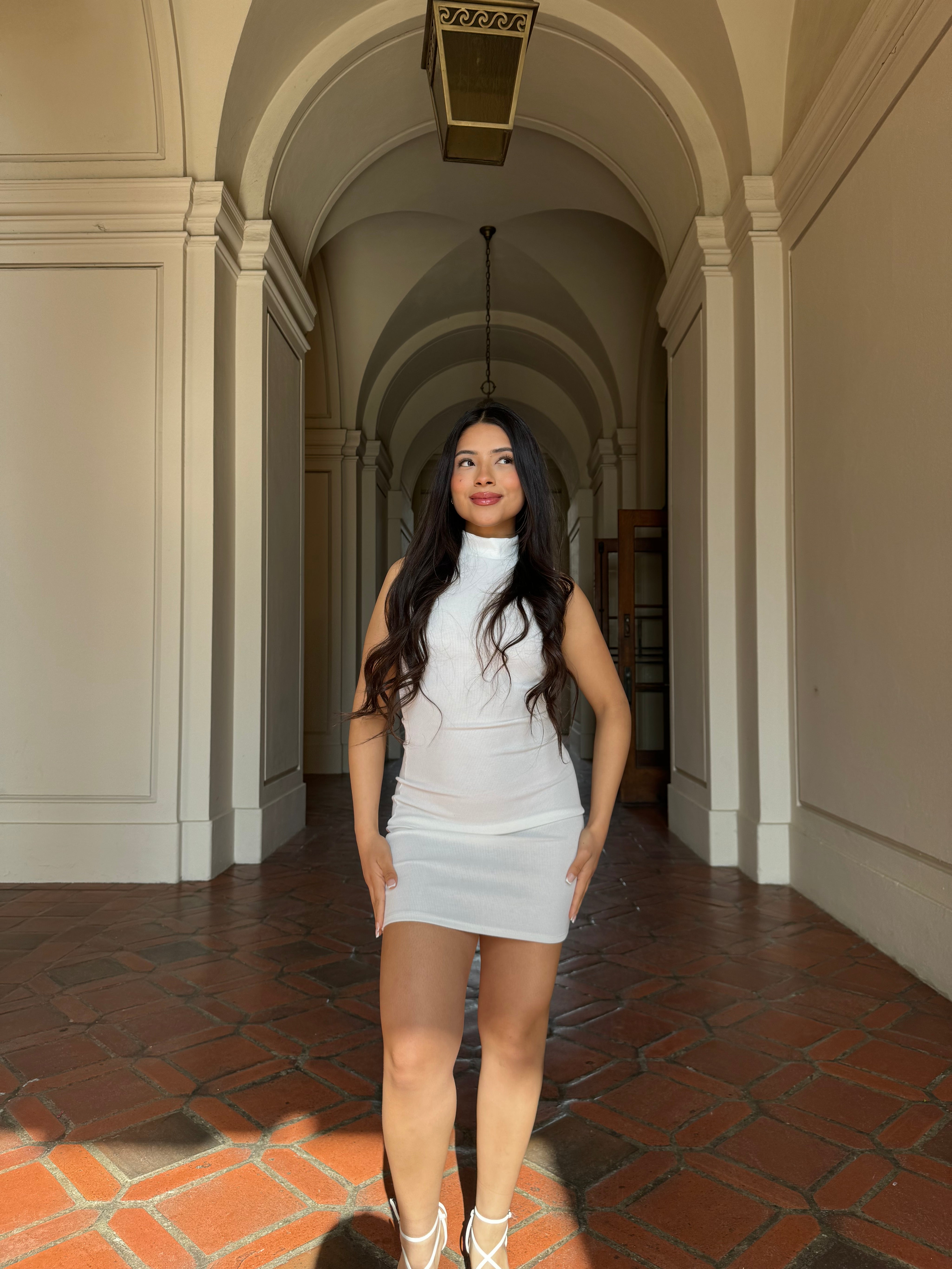 Isabella Turtle Neck Dress