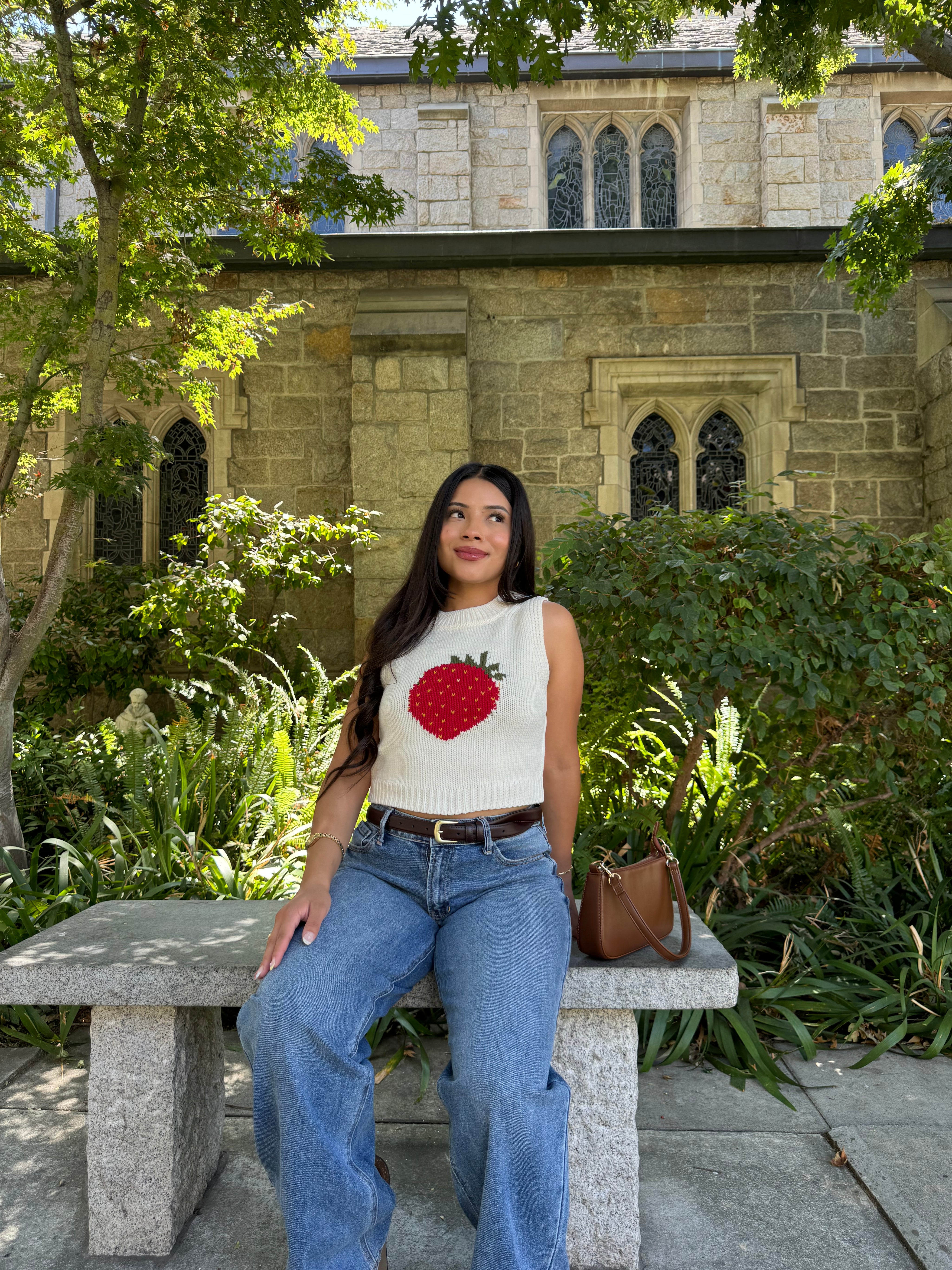 Strawberry Market Knit