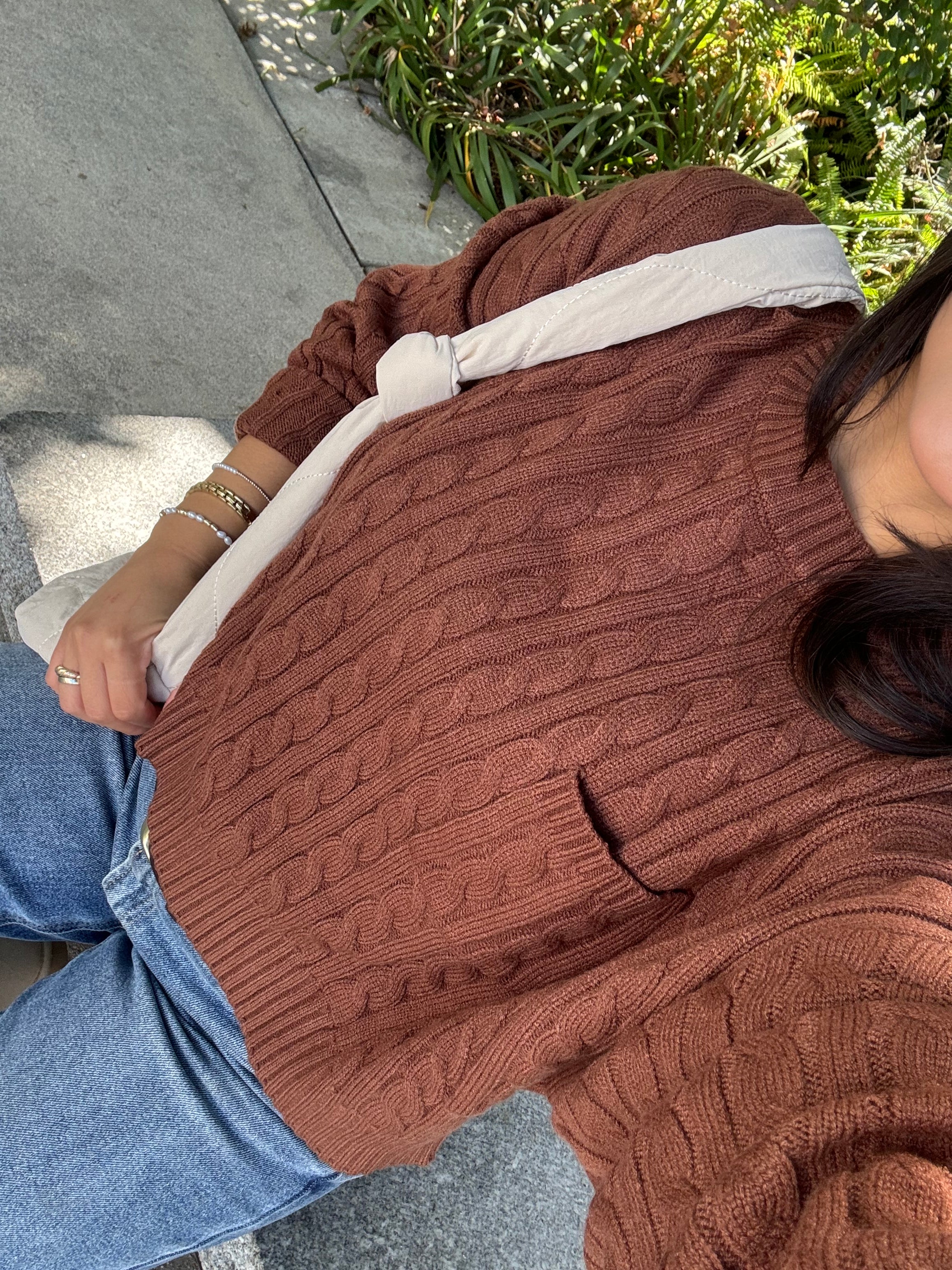 Dreamy Cable Knit (Brown)