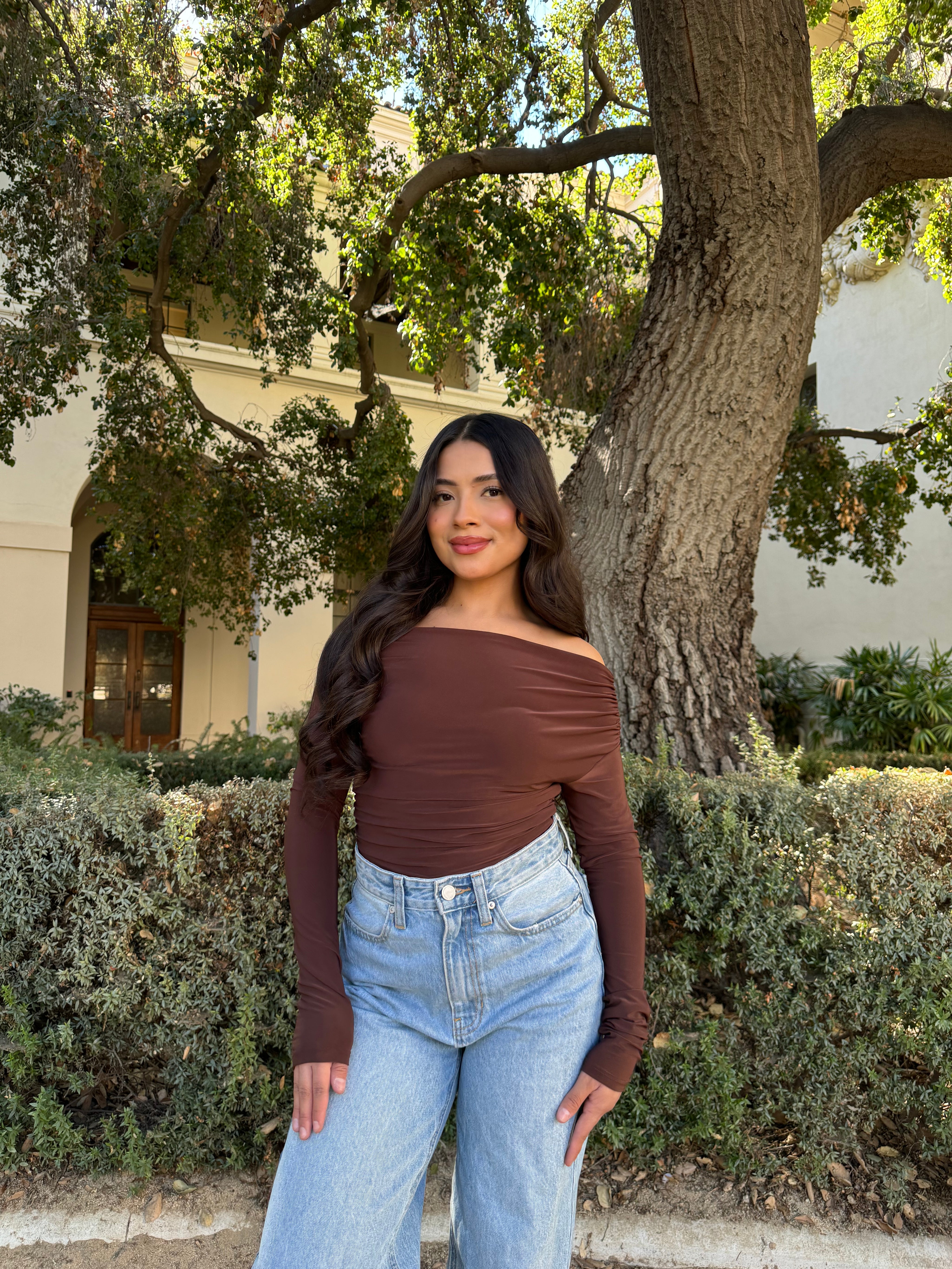 Love Letter Off the Shoulder Long Sleeve (Brown)