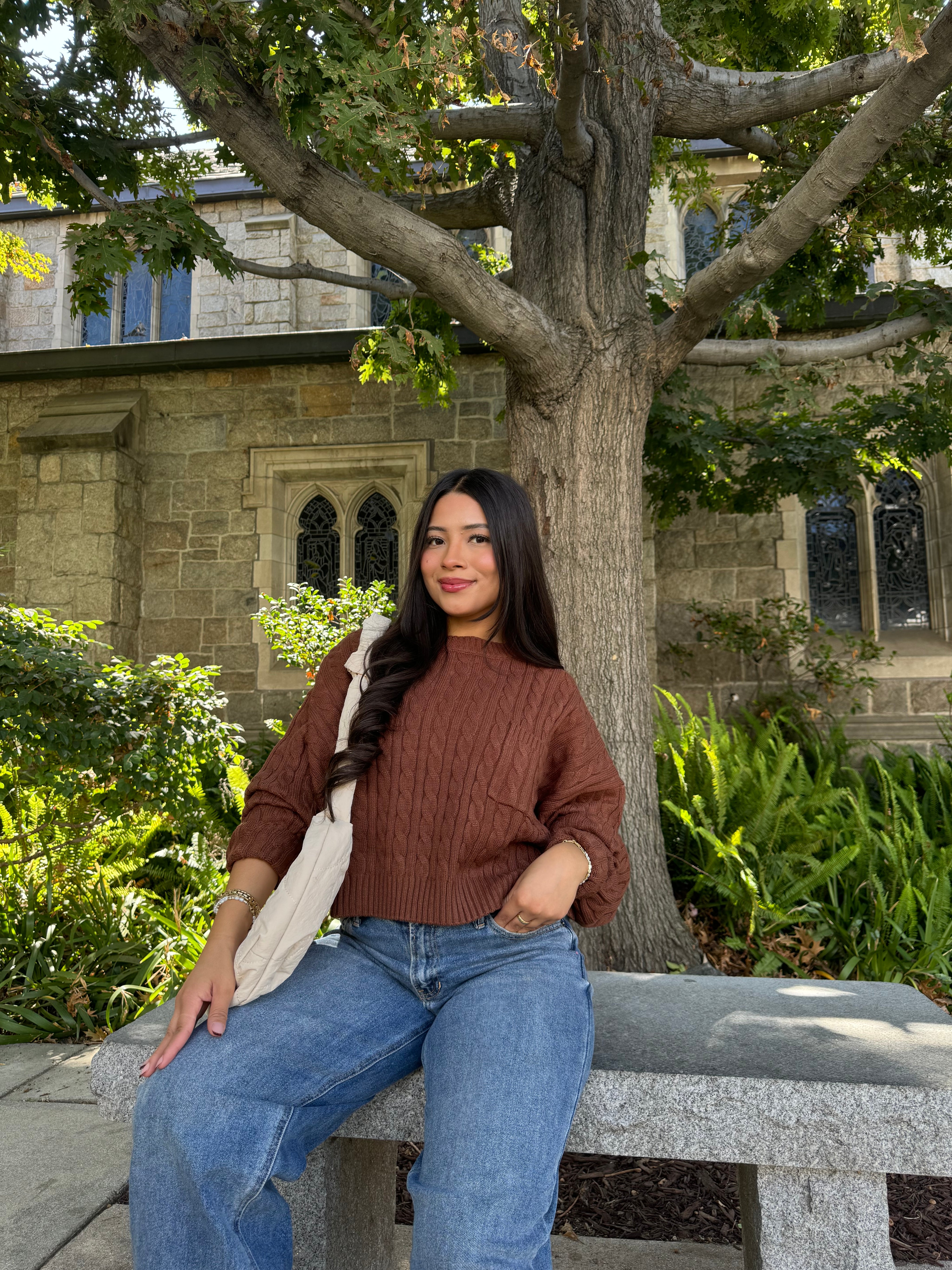 Dreamy Cable Knit (Brown)