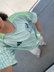Mexico Jersey (Green)