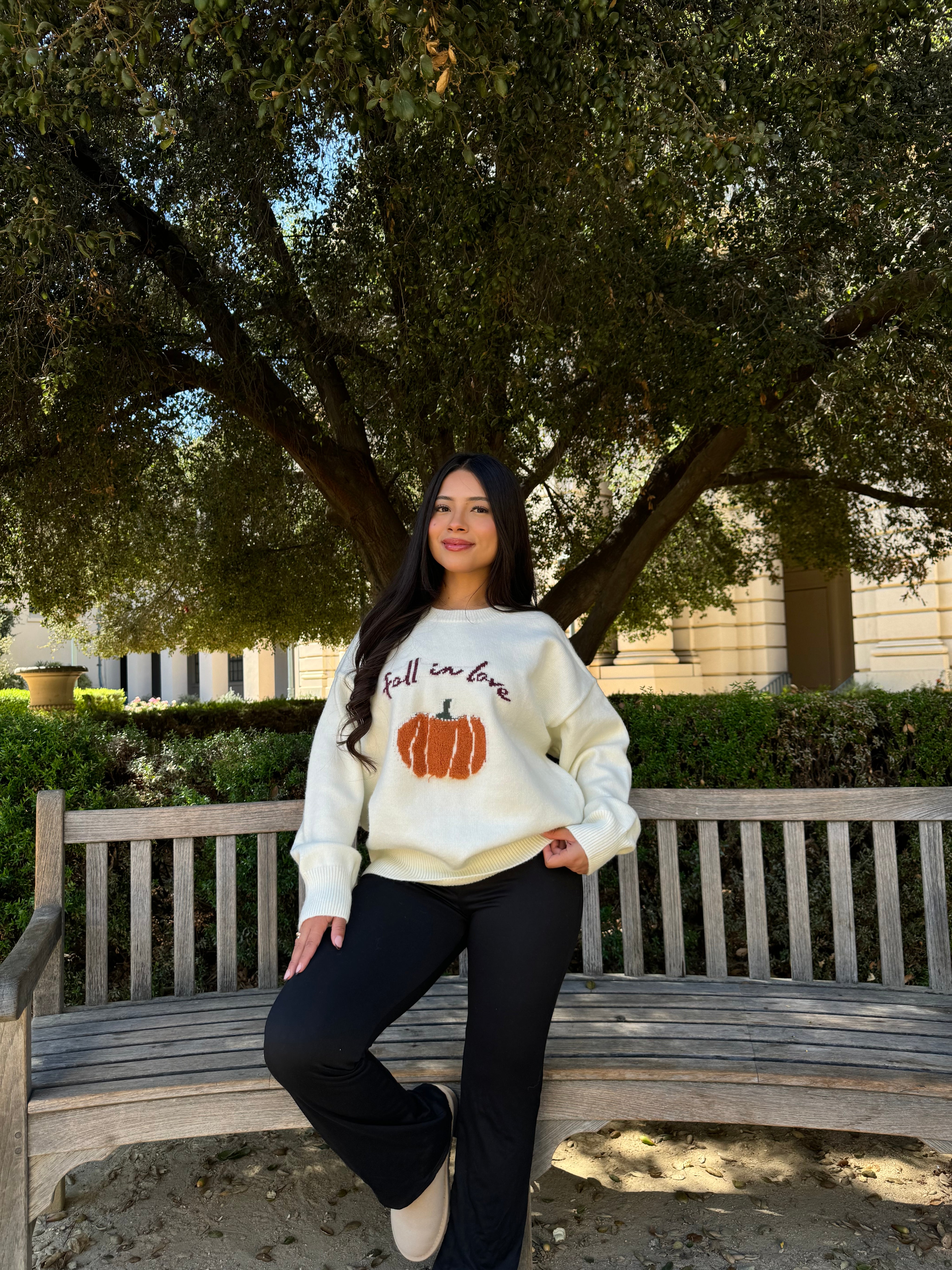 Fall in Love Knit Sweater