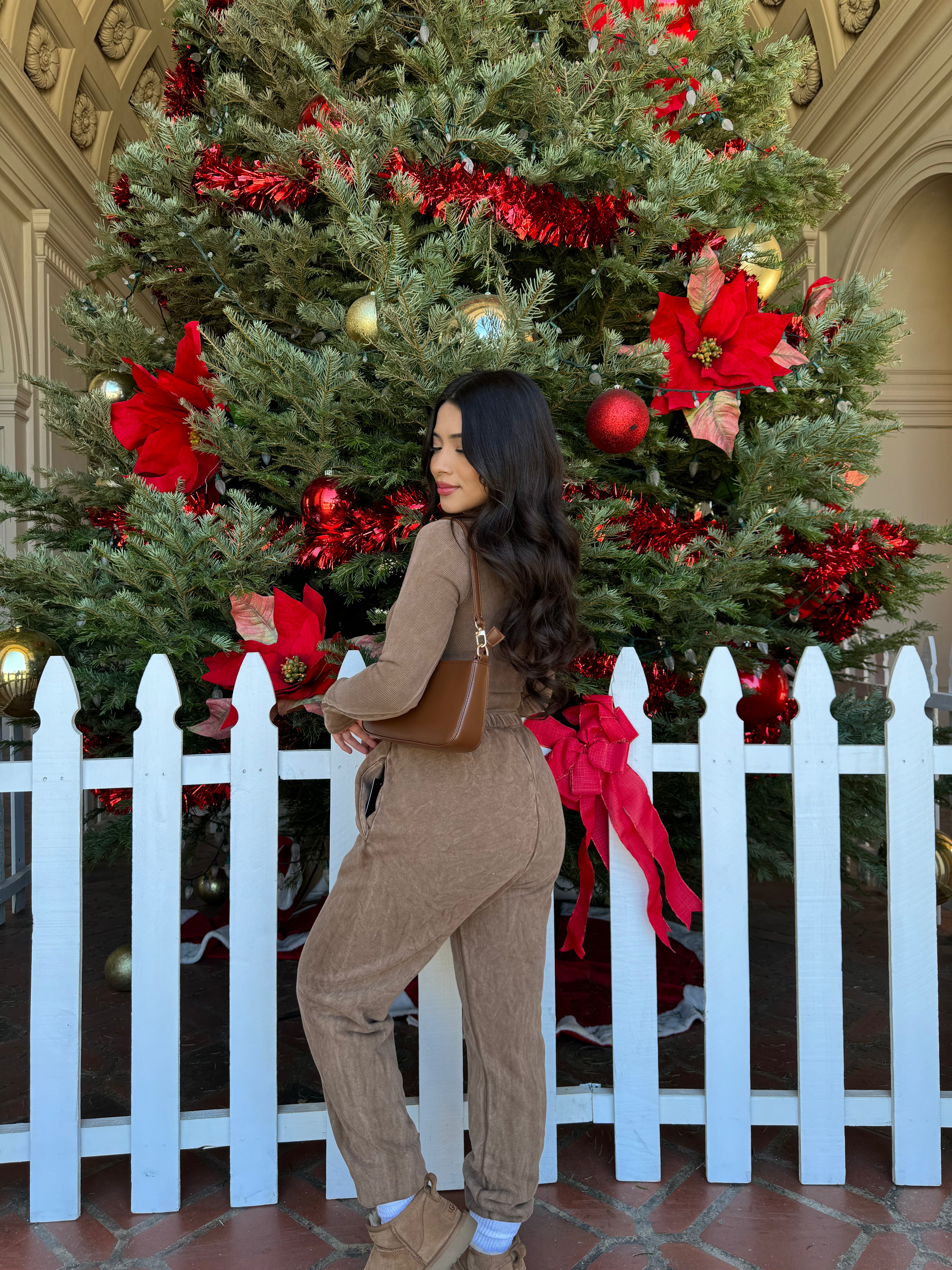 Pillow Talk Long Sleeve Set (Mineral Brown )