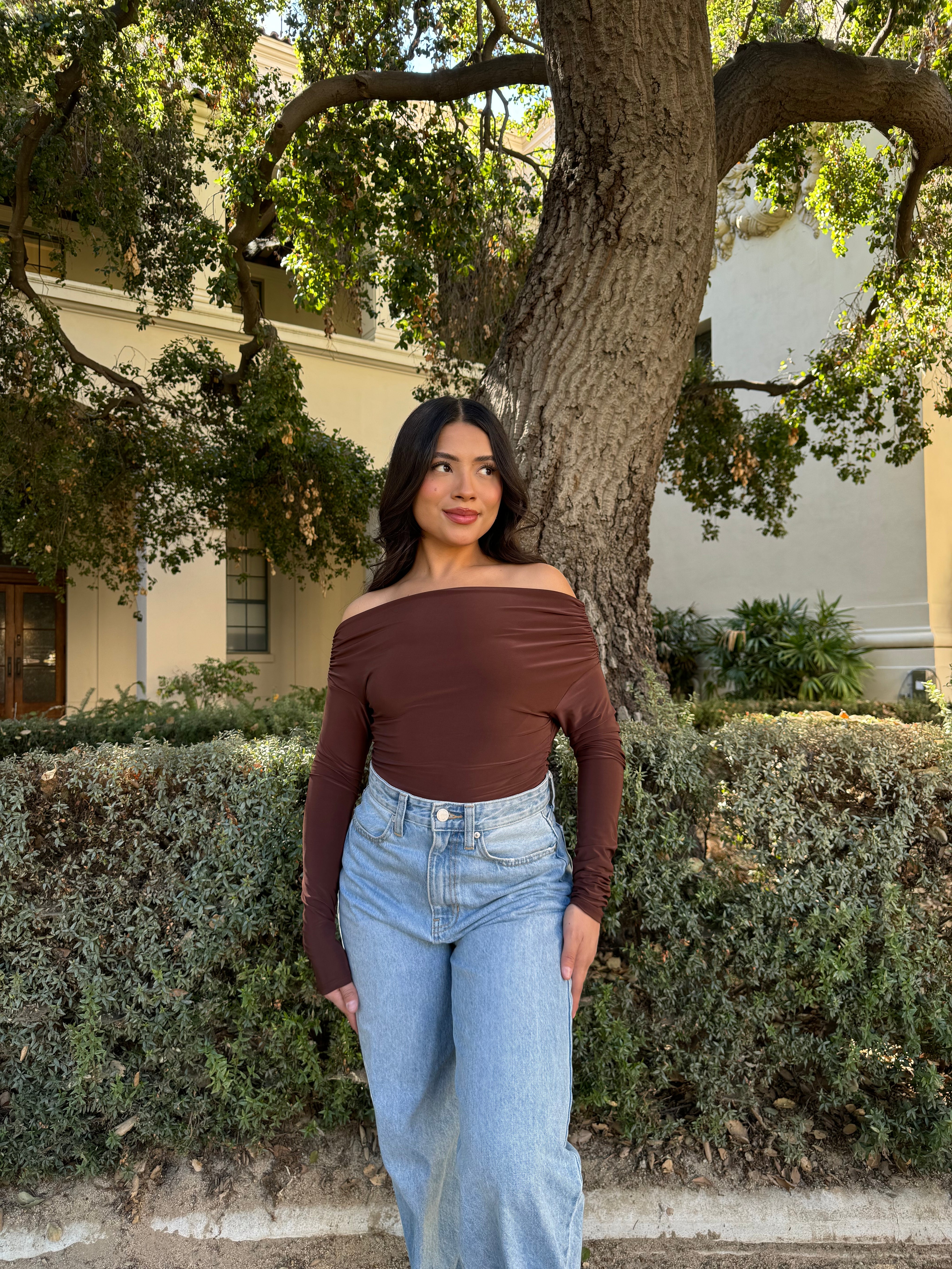 Love Letter Off the Shoulder Long Sleeve (Brown)
