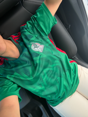Mexico Jersey (Dark green)