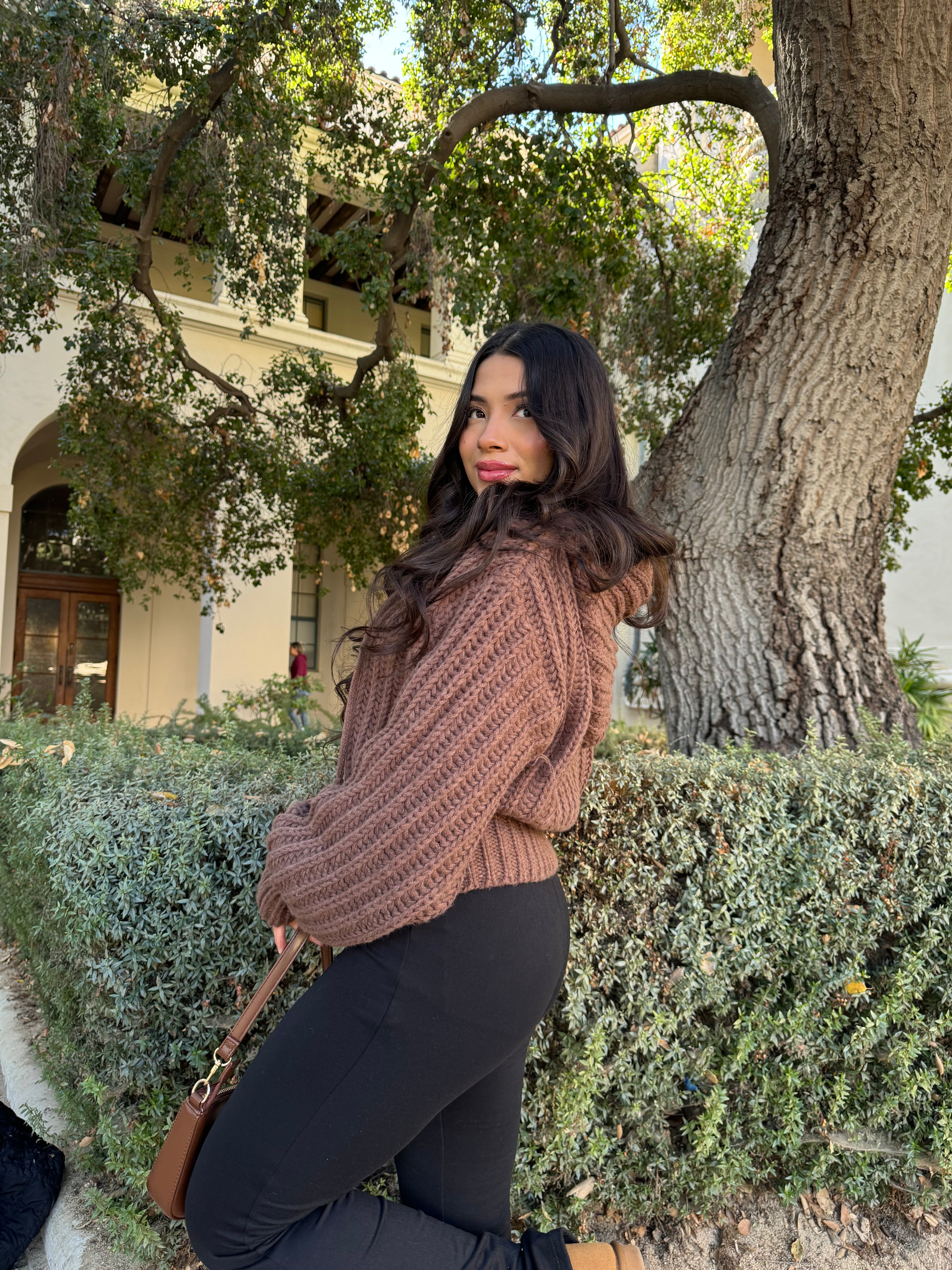 Sugar Cookie Chunky Knit Sweater