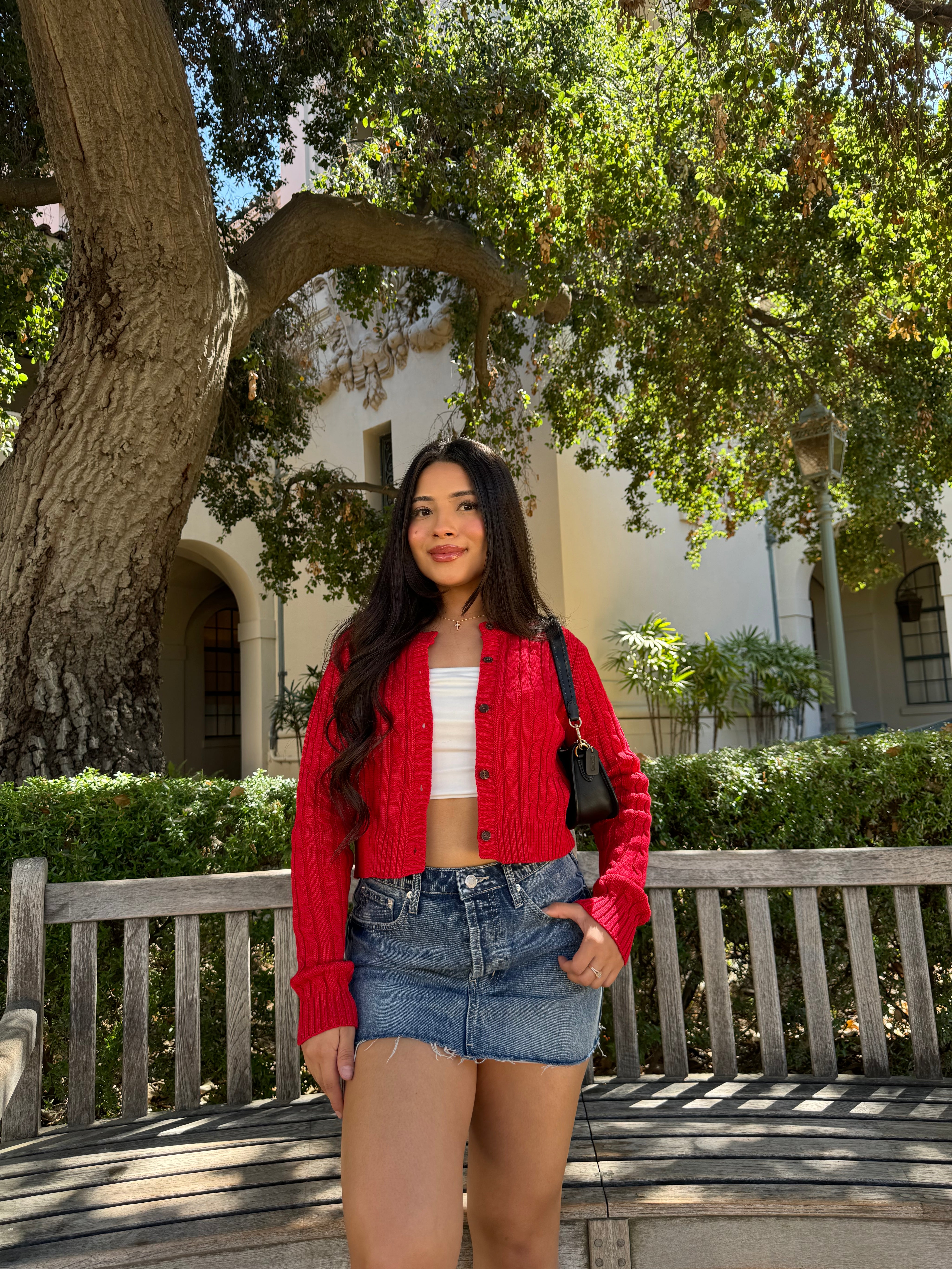 Lolita Cardigan (Fresita)